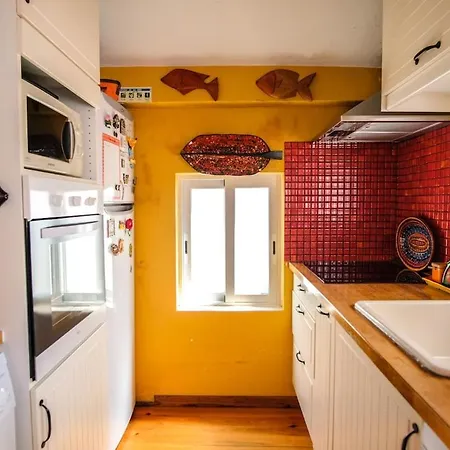House With Terrace And Bbq Holiday home Nazare